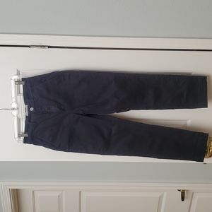 Everlane Straight Leg Crop Pant - Navy Sz 2